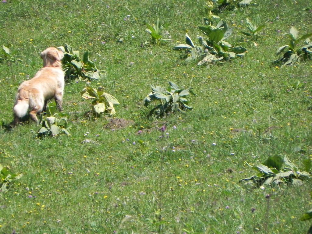 clic ici pour suivante