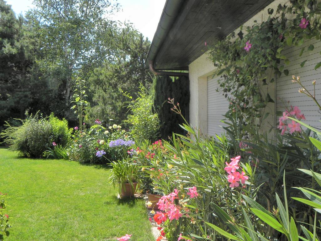 clic ici pour suivante