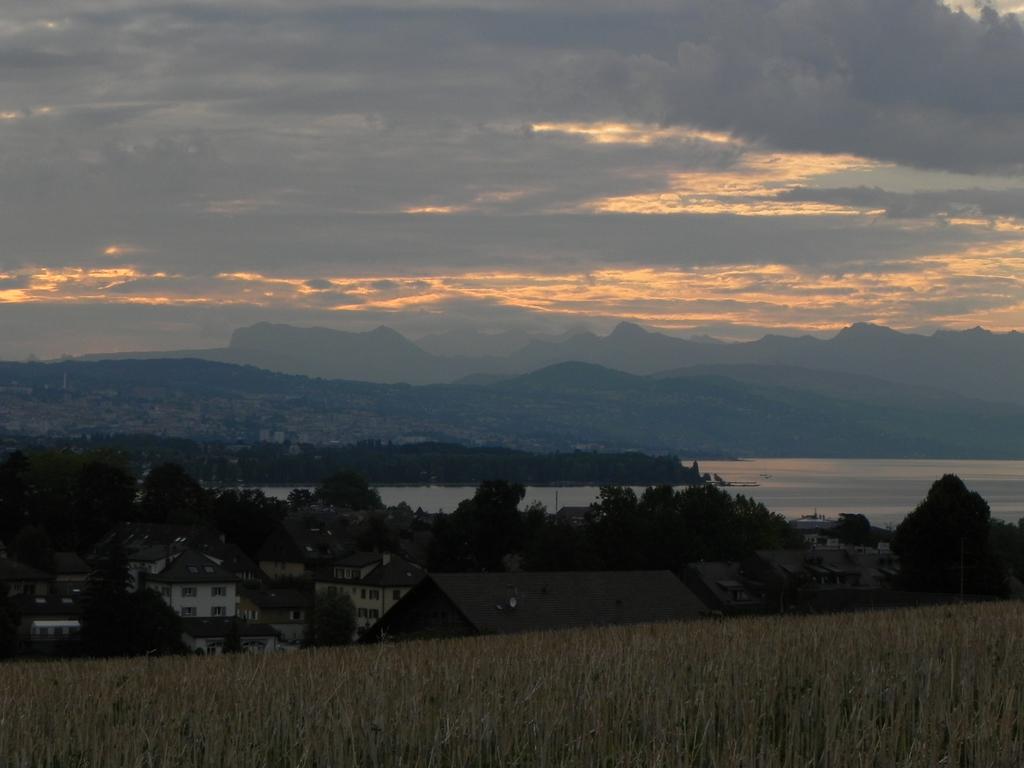 clic ici pour suivante