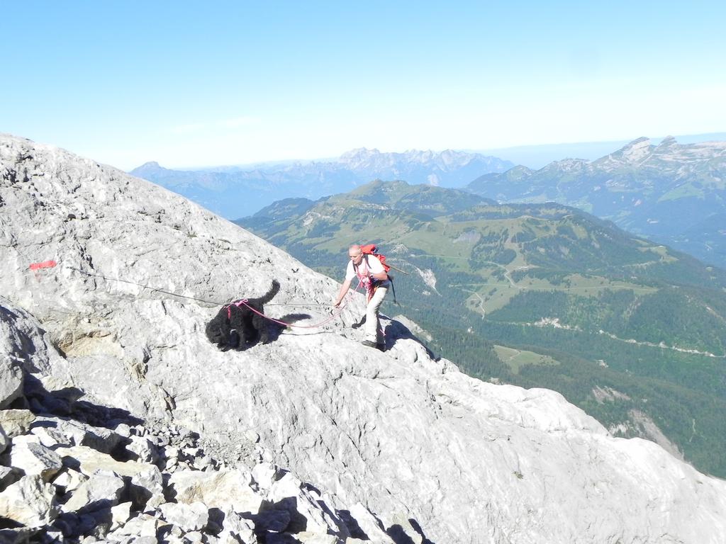 clic ici pour suivante