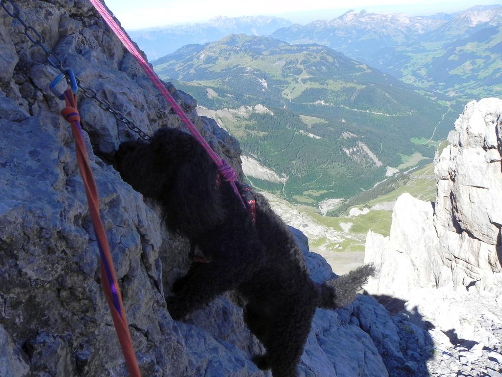 clic ici pour suivante