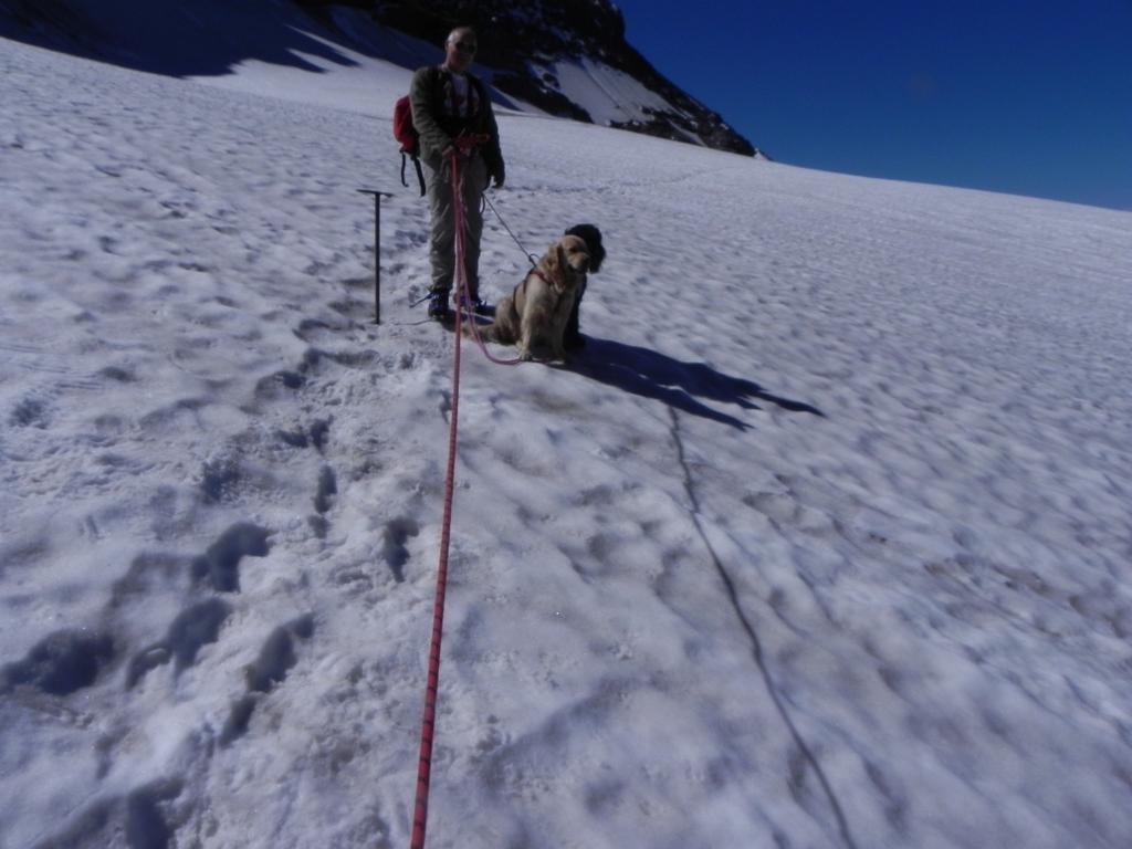 clic ici pour suivante