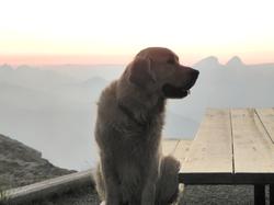 Clic pour agrandir l'image (1024x768 pixels; 52 KB)