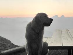 Clic pour agrandir l'image (1024x768 pixels; 52 KB)