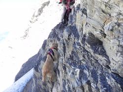 Clic pour agrandir l'image (1024x768 pixels; 150 KB)