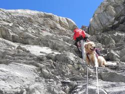 Clic pour agrandir l'image (1024x768 pixels; 192 KB)