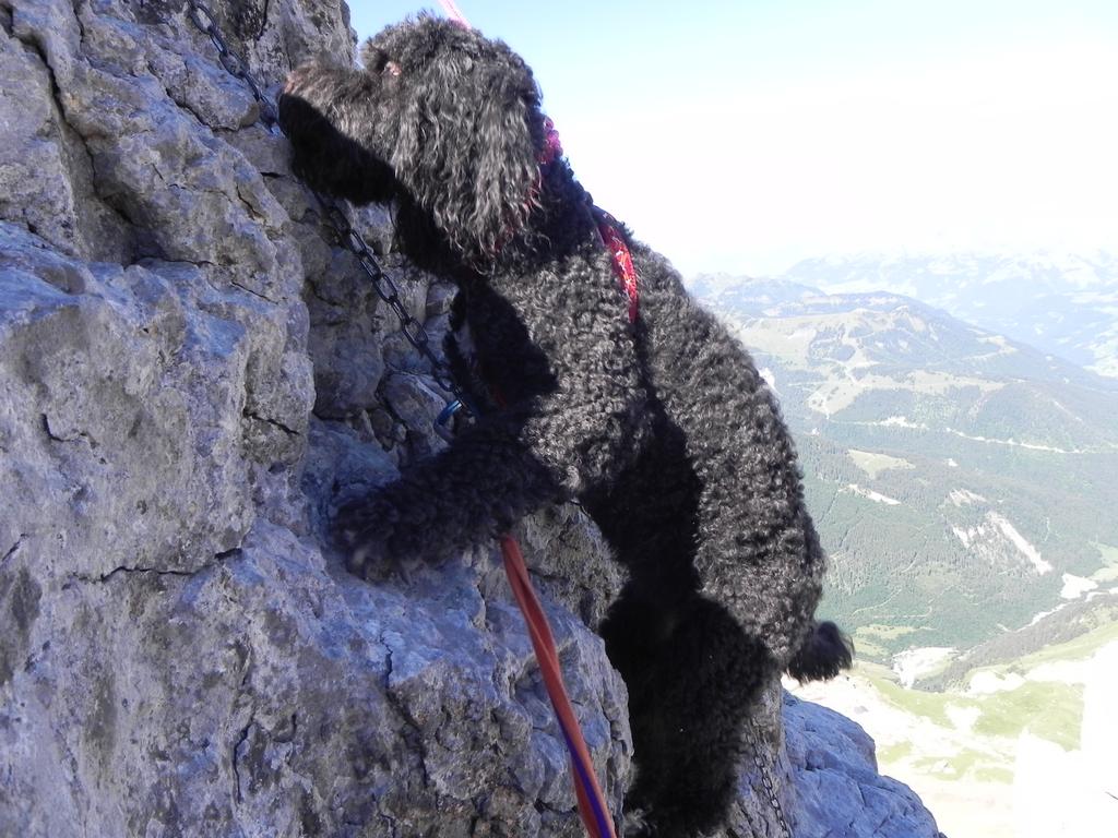 clic ici pour suivante