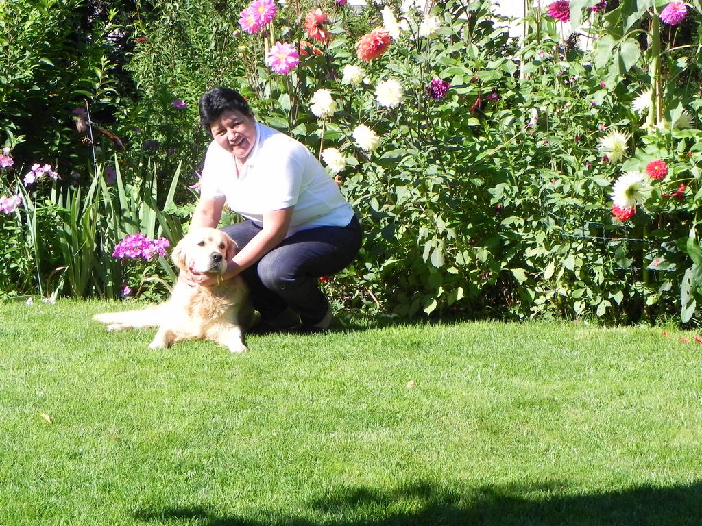 clic ici pour suivante