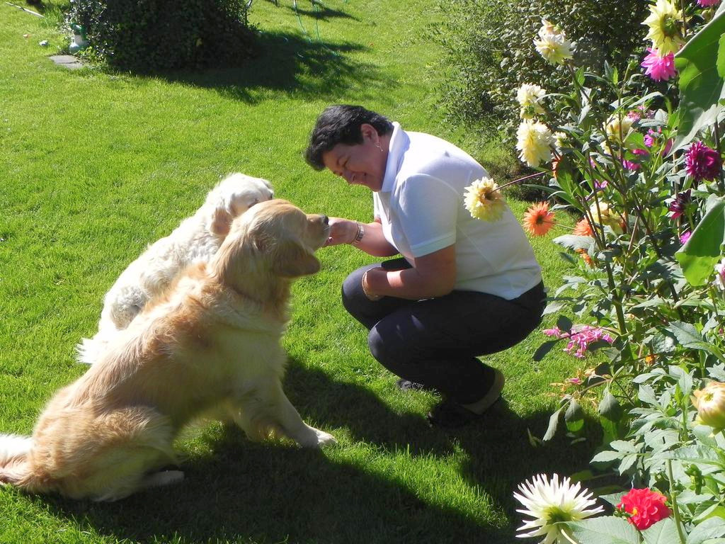 clic ici pour suivante