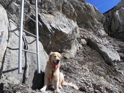 Clic pour agrandir l'image (1024x768 pixels; 227 KB)