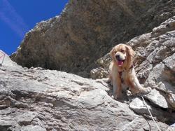 Clic pour agrandir l'image (1024x768 pixels; 174 KB)