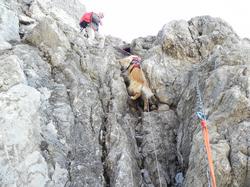 Clic pour agrandir l'image (1024x768 pixels; 180 KB)