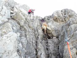 Clic pour agrandir l'image (1024x768 pixels; 171 KB)