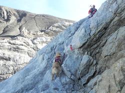 Clic pour agrandir l'image (1024x768 pixels; 175 KB)