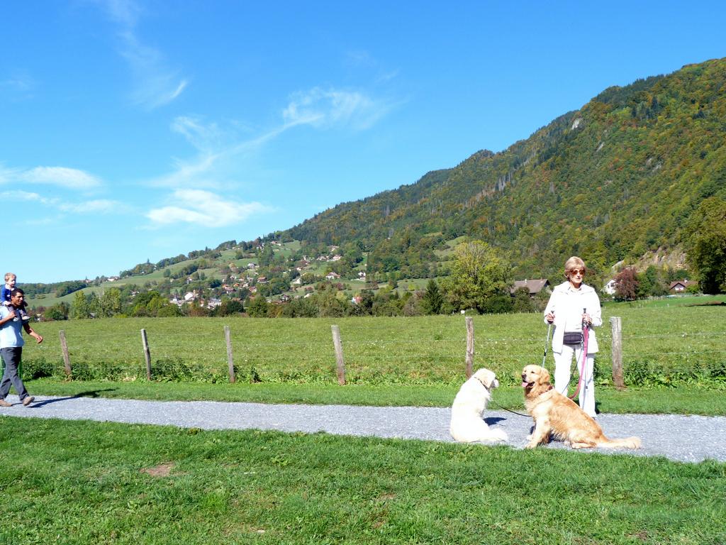 clic ici pour suivante