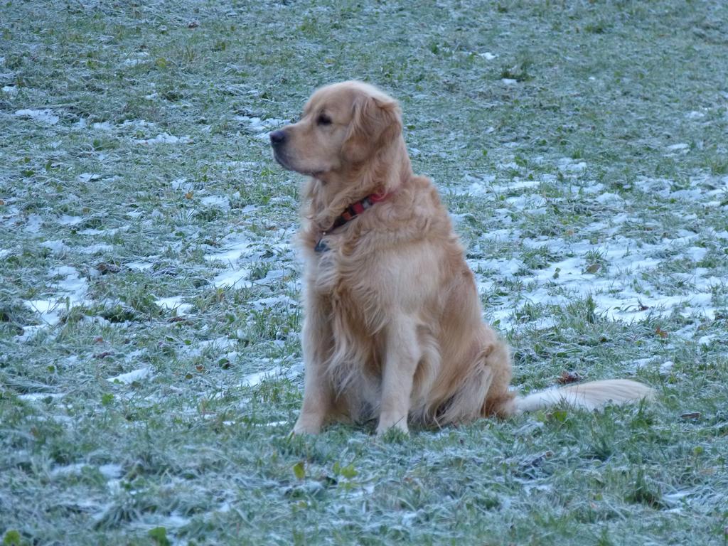 clic ici pour suivante