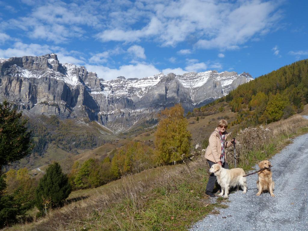 clic ici pour suivante