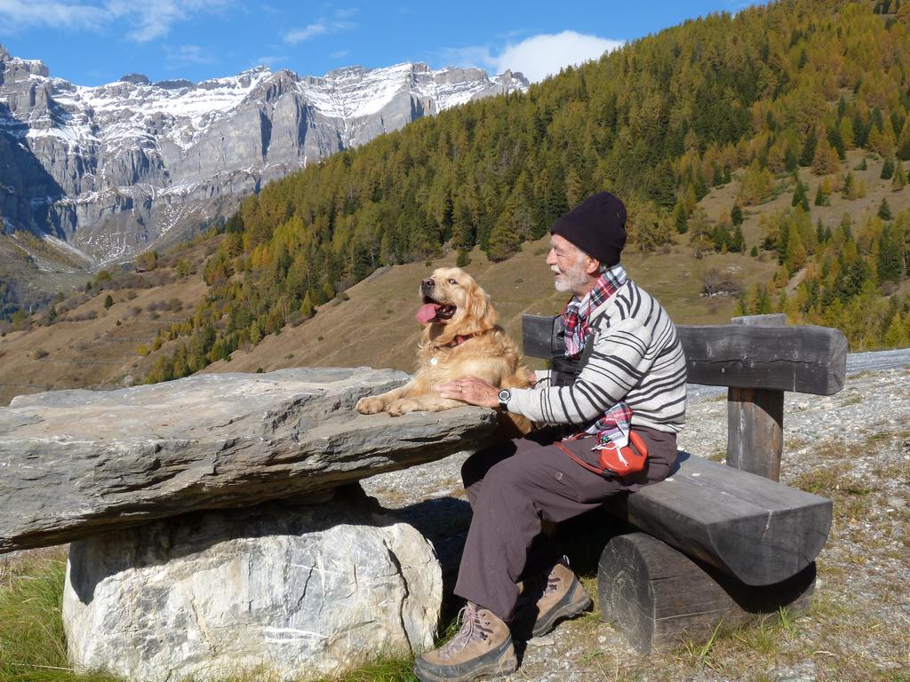 clic ici pour suivante