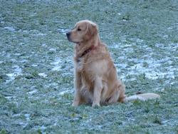 Clic pour agrandir l'image (1024x768 pixels; 178 KB)