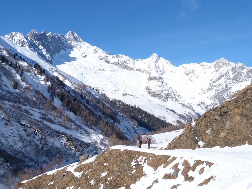 Cliqeu pour voir l'image suivante