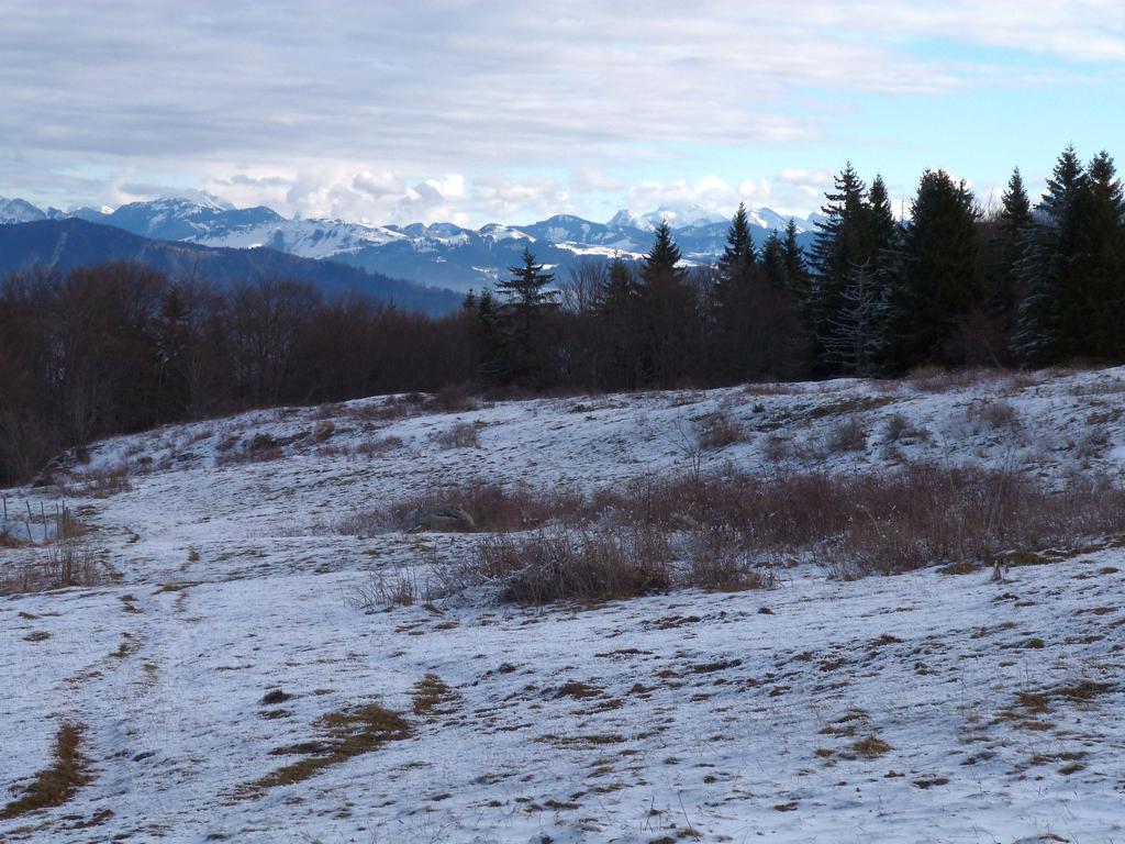 Cliqeu pour voir l'image suivante