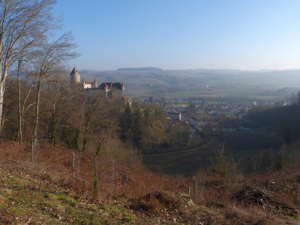 Cliqeu pour voir l'image suivante