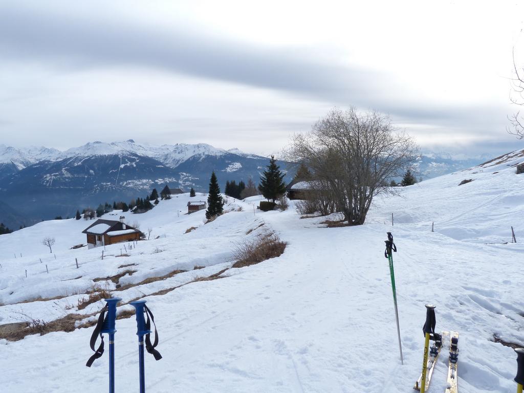 Cliqeu pour voir l'image suivante