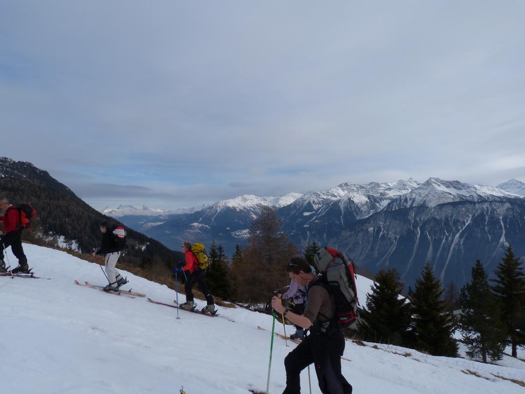 Cliqeu pour voir l'image suivante