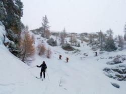 Clic pour agrandir l'image (1024x768 pixels; 107 KB)