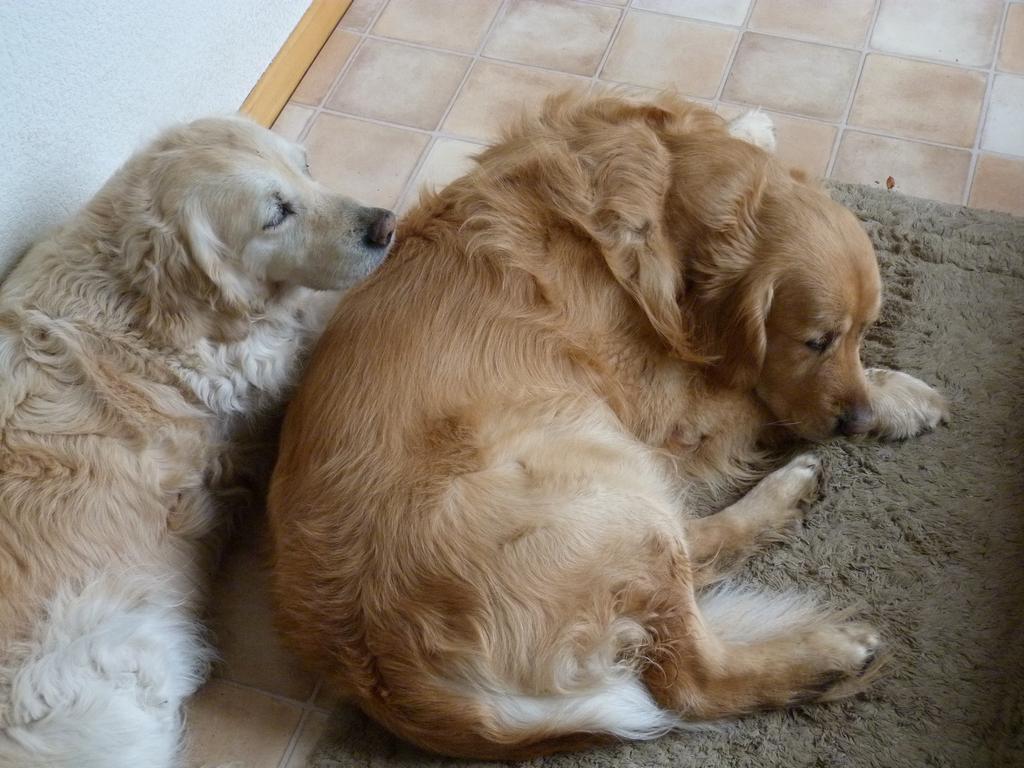 Cliqeu pour voir l'image suivante