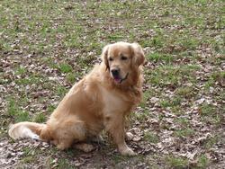 Clic pour agrandir l'image (1024x768 pixels; 262 KB)