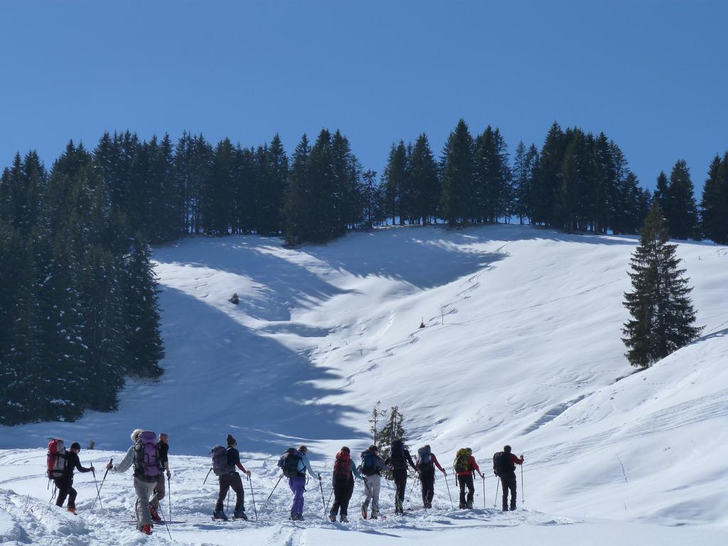 Cliqeu pour voir l'image suivante