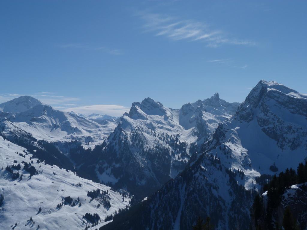 Cliqeu pour voir l'image suivante