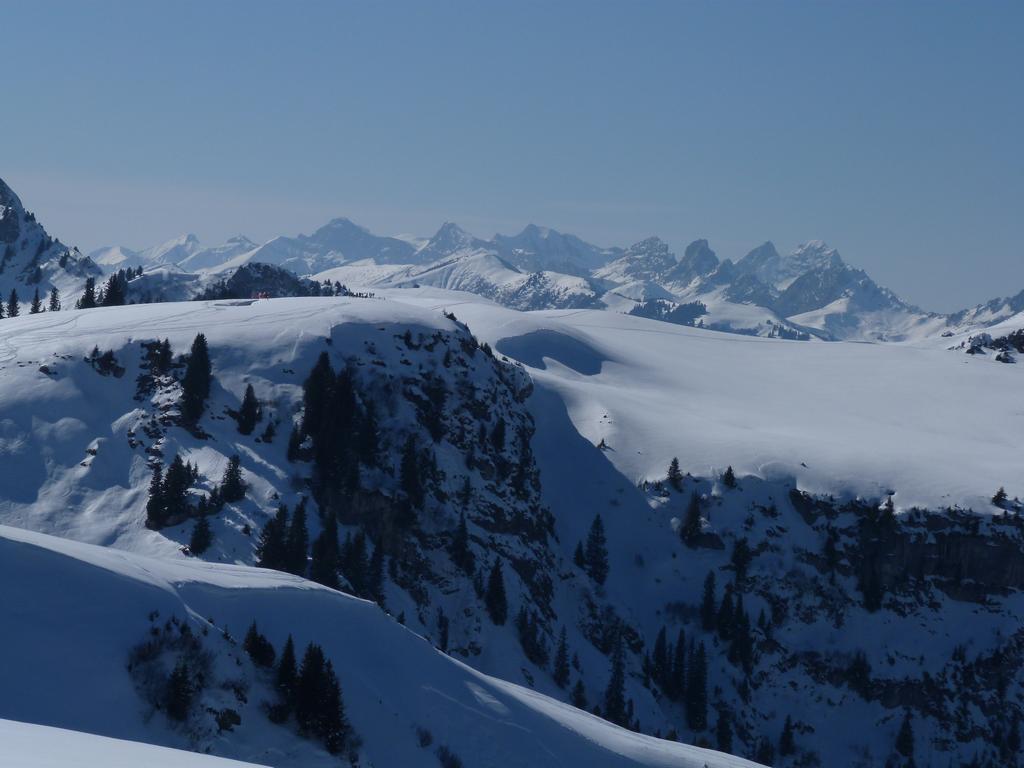 Cliqeu pour voir l'image suivante