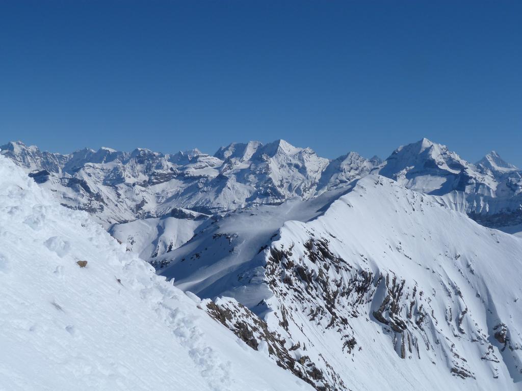 Cliqeu pour voir l'image suivante