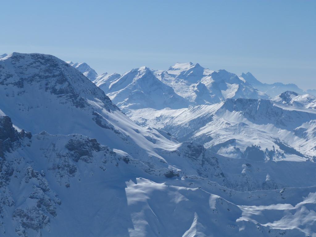 Cliqeu pour voir l'image suivante