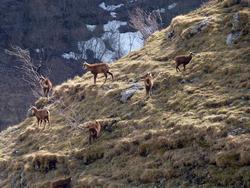 Clic pour agrandir l'image (1024x768 pixels; 198 KB)