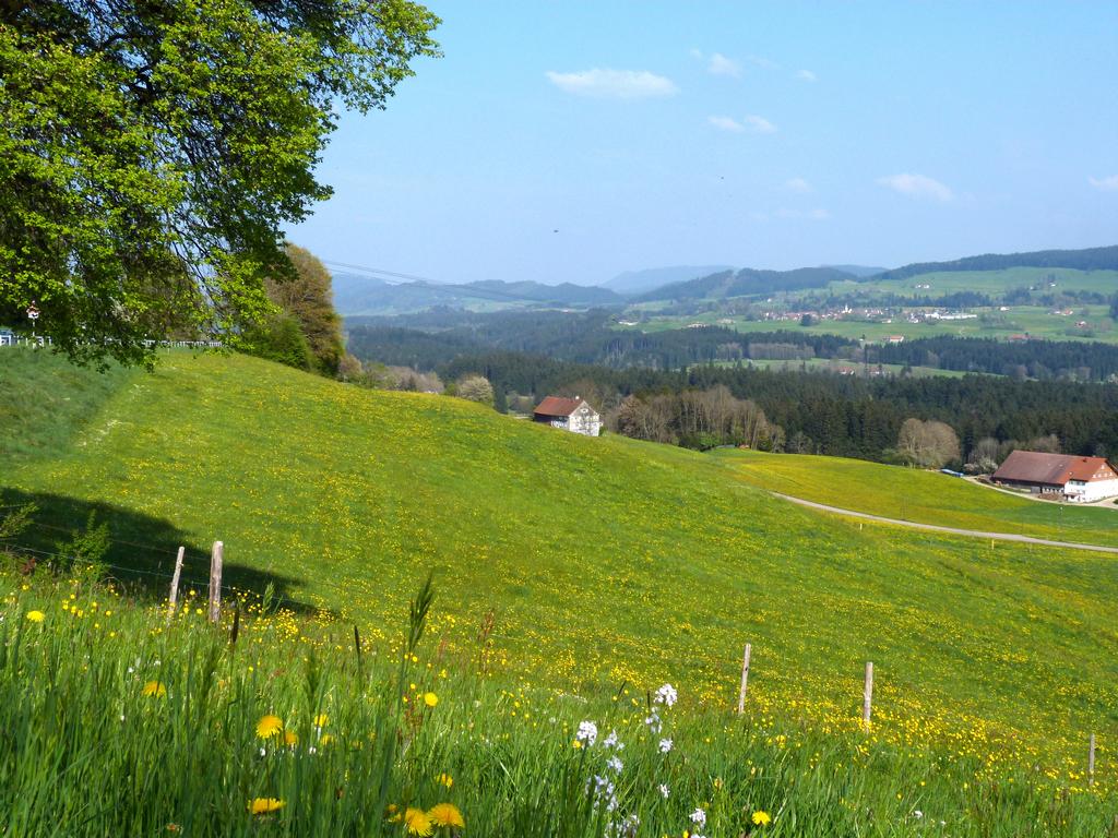 Cliqeu pour voir l'image suivante