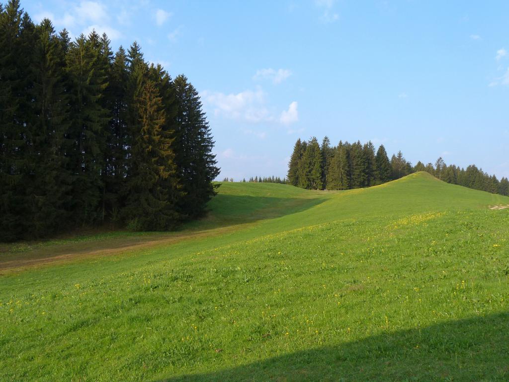 Cliqeu pour voir l'image suivante