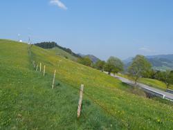 Clic pour agrandir l'image (1024x768 pixels; 118 KB)