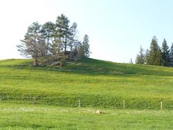 Clic pour agrandir l'image (1024x768 pixels; 157 KB)