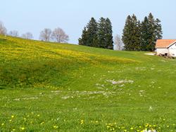 Clic pour agrandir l'image (1024x768 pixels; 187 KB)