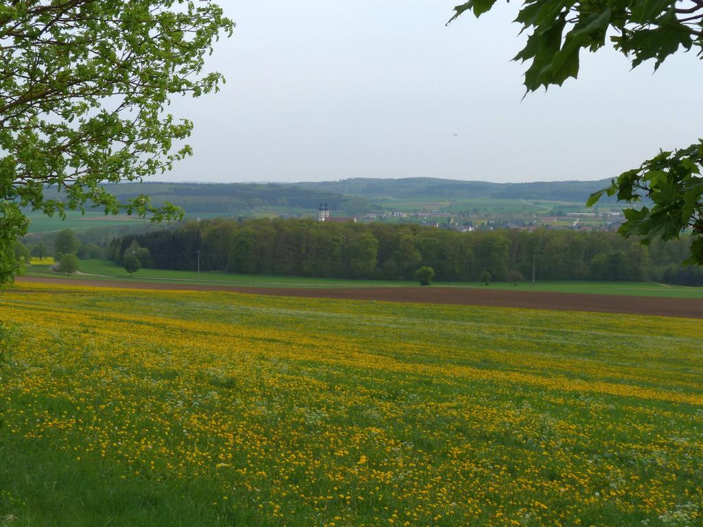 Cliqeu pour voir l'image suivante