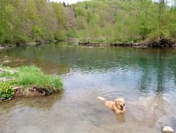 Clic pour agrandir l'image (1024x768 pixels; 158 KB)