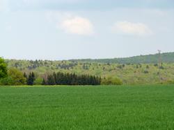 Clic pour agrandir l'image (1024x768 pixels; 91 KB)