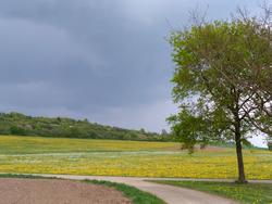 Clic pour agrandir l'image (1024x768 pixels; 137 KB)