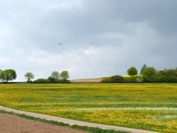 Clic pour agrandir l'image (1024x768 pixels; 116 KB)