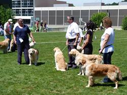 Clic pour agrandir l'image (1024x768 pixels; 182 KB)