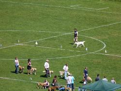 Clic pour agrandir l'image (1024x768 pixels; 150 KB)