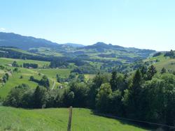 Clic pour agrandir l'image (1024x768 pixels; 100 KB)